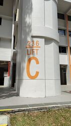 Blk 236 Hougang Avenue 1 (Hougang), HDB 4 Rooms #553869601